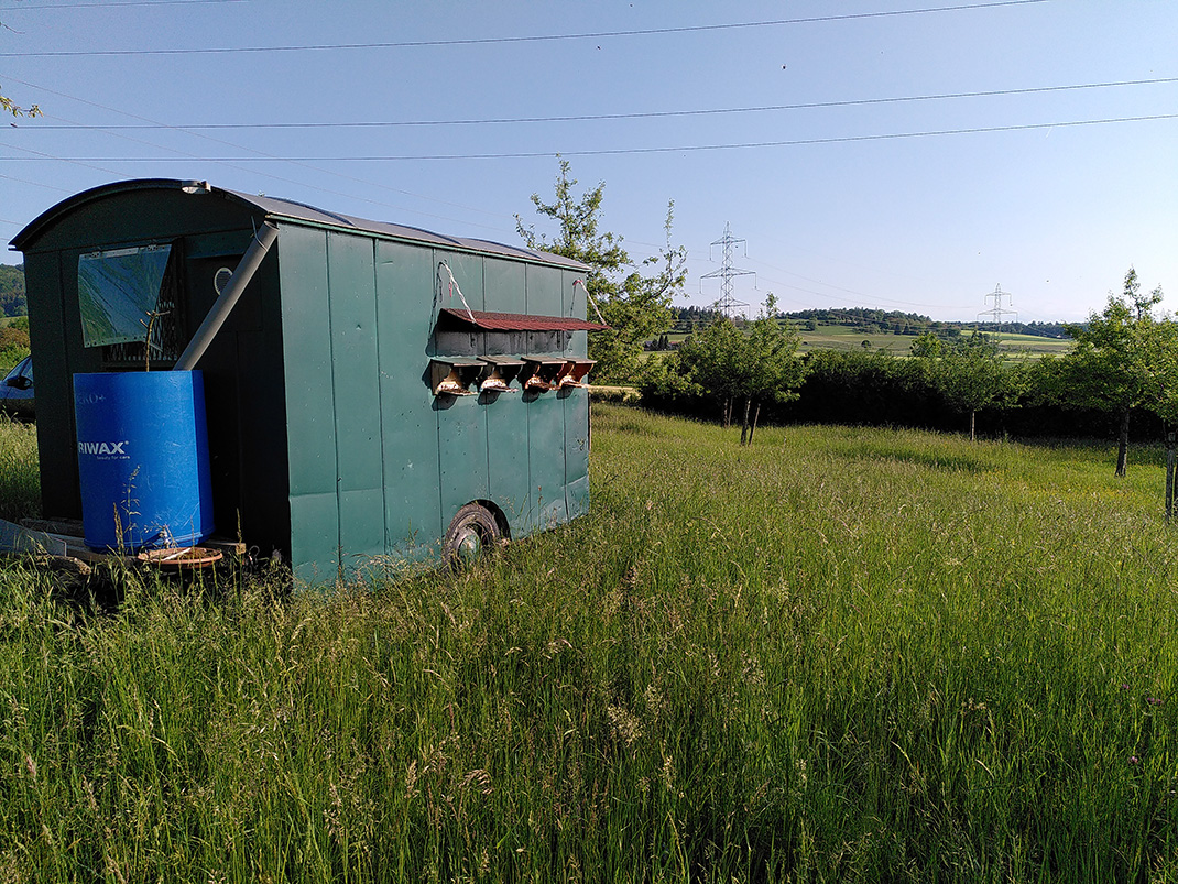 Bienenstand in Sünikon